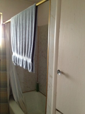 LD Arch Design: Cheery WS bathroom before 2: Photo by Parie Hines